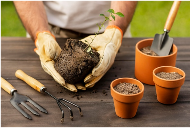Wholesale Garden Pots