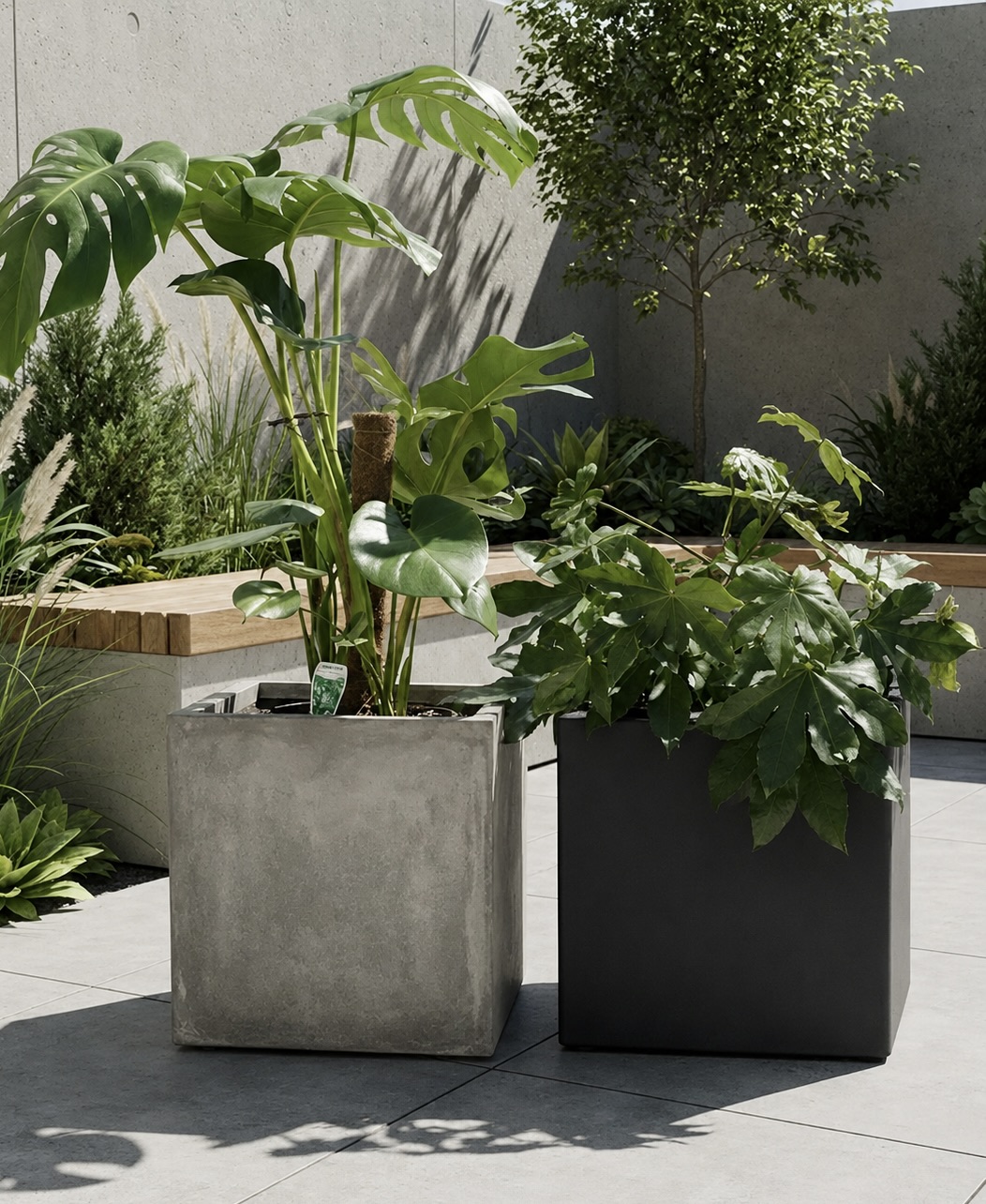 Cube Planter - QuarterLite