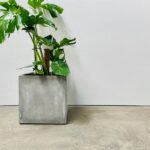 Cube Planter - Size 1 only