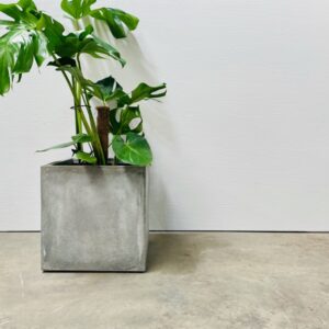Cube Planter - Size 1 only