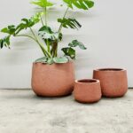 Short Rounds - Poly Terrazzo