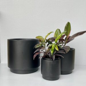 Short Stack Cylinder Set / 3 - QuarterLite