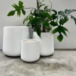 Middle Rounds - QuarterLite