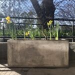 Balcony Planter