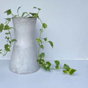 Duopoly Planter