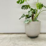Short U Pot - Poly Terrazzo