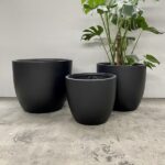 Egg Pots - QuarterLite