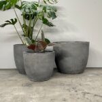 Plant Pots
