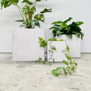 Soft Edge Cube - Poly Terrazzo