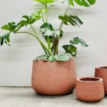 Short Rounds - Poly Terrazzo