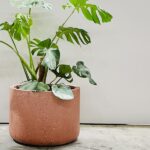 Jnr Tube Planter - Poly Terrazzo