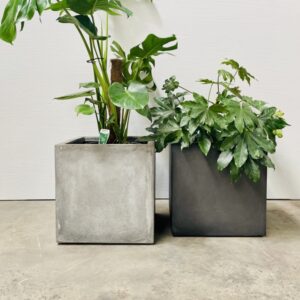 Cube Planter - QuarterLite