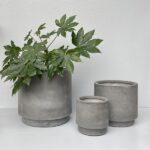 Short Stack Cylinder Set / 3 - QuarterLite