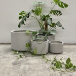 Pots for plants
