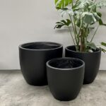 Egg Pots - QuarterLite