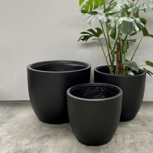 Egg Pots - QuarterLite