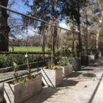 Custom Made Planters
