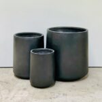 Convex Tall Round - QuarterLite