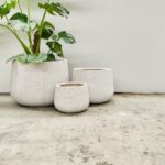 Short Rounds - Poly Terrazzo