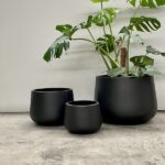 Short Rounds - Quarterlite