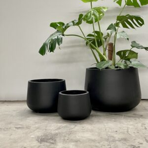 Short Rounds - Quarterlite