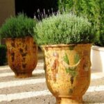 Garden Pots & Planters
