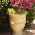 Anduze Urn - Traditional Cream Glaze