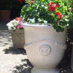 Flower Pot