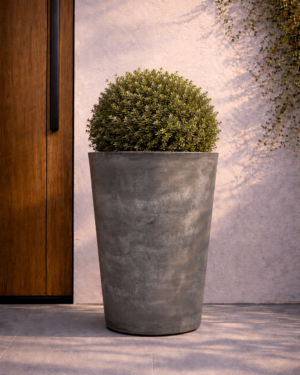 Tall cement-grey round planter with a clipped green topiary beside a timber door.