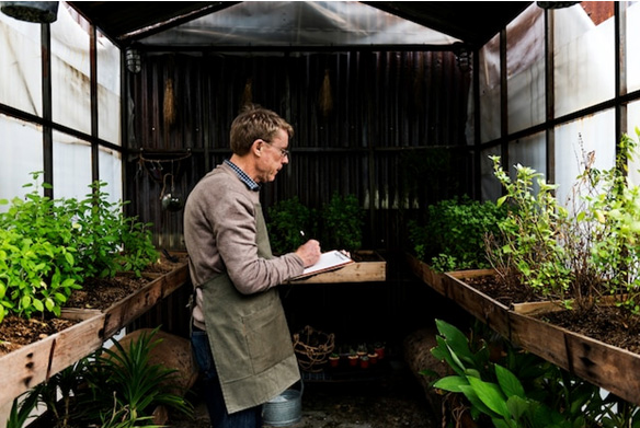Create-a-Garden-Nook