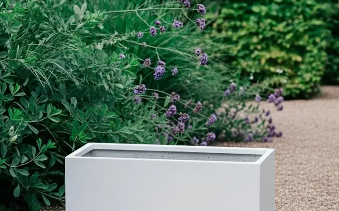 Planter Boxes Square: The Complete Australian Buyer’s Guide for 2026