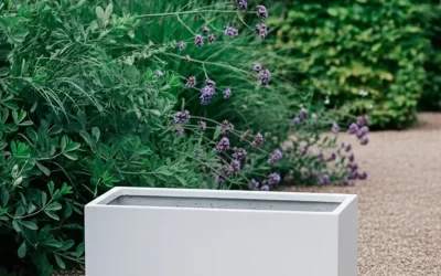 Planter Boxes Square: The Complete Australian Buyer’s Guide for 2026