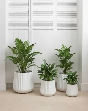 Fluted Rounds - QuarterLite