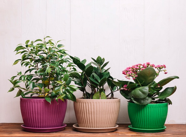 Group-Multiple-Pots-Together