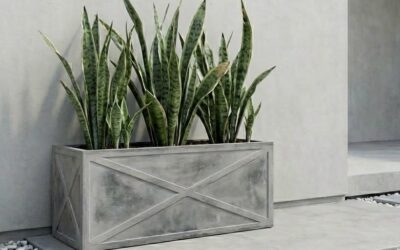 The Best Plants for Outdoor Pots in Melbourne’s Climate (Seasonal Guide 2026)
