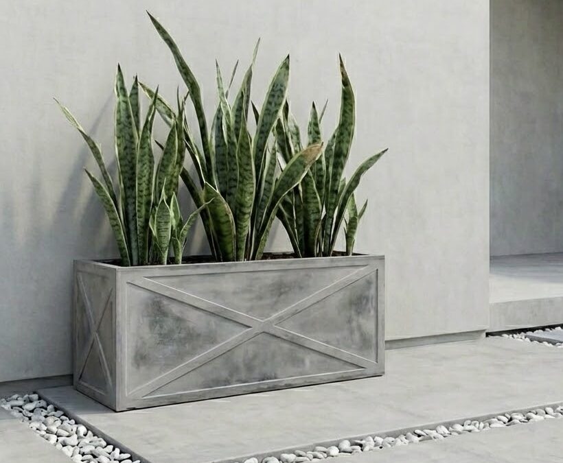 The Best Plants for Outdoor Pots in Melbourne’s Climate (Seasonal Guide 2026)