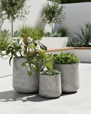 Middle Rounds - QuarterLite