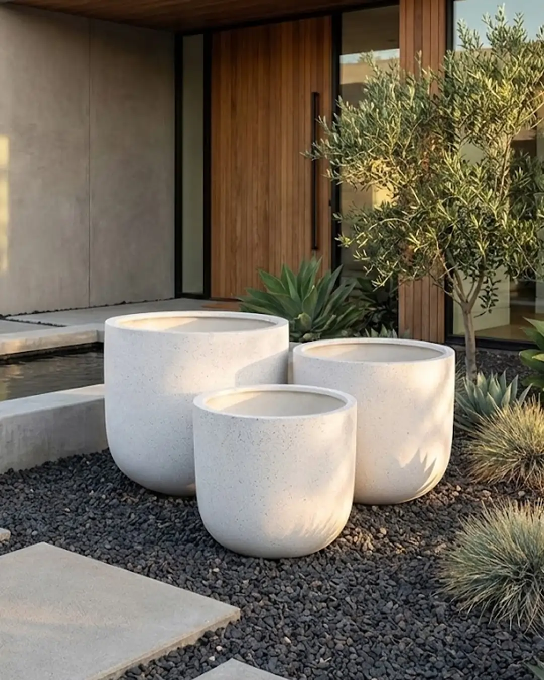 large indoor potted plants for sale ZZ Plant - Large (2-3' tall) Cement Grey Planter main image 1
