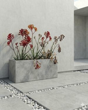 Balcony Planter 110cm in cement grey with flowering Kangaroo Paws, rectangular mid profile design suitable for balconies and modern outdoor spaces