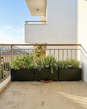 Euro 65 narrow planterbox in a lightweight composite material, sized for apartment balconies and narrow spaces