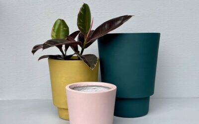 Best Lightweight Plant Pots Australia: The Complete 2026 Guide