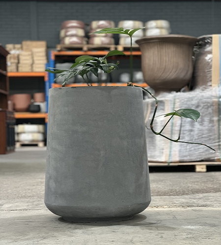 Planter Planter