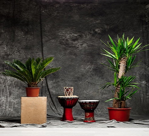 planter planter