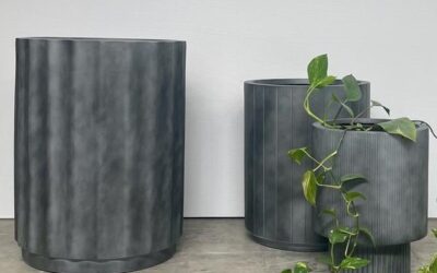 Why Concrete Pots Are the Most Durable Choice for Australian Gardens