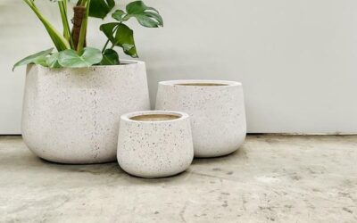 The Complete Guide to Choosing Garden Pots in Australia: Materials, Sizes, and Styles Explained