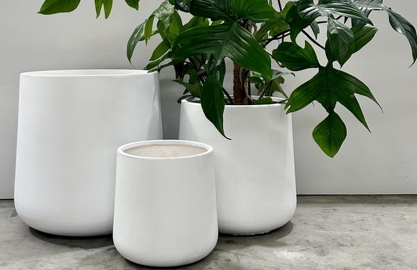 standardized_white_tall_rounds standardized_white_tall_rounds