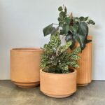 Large Indoor Pots