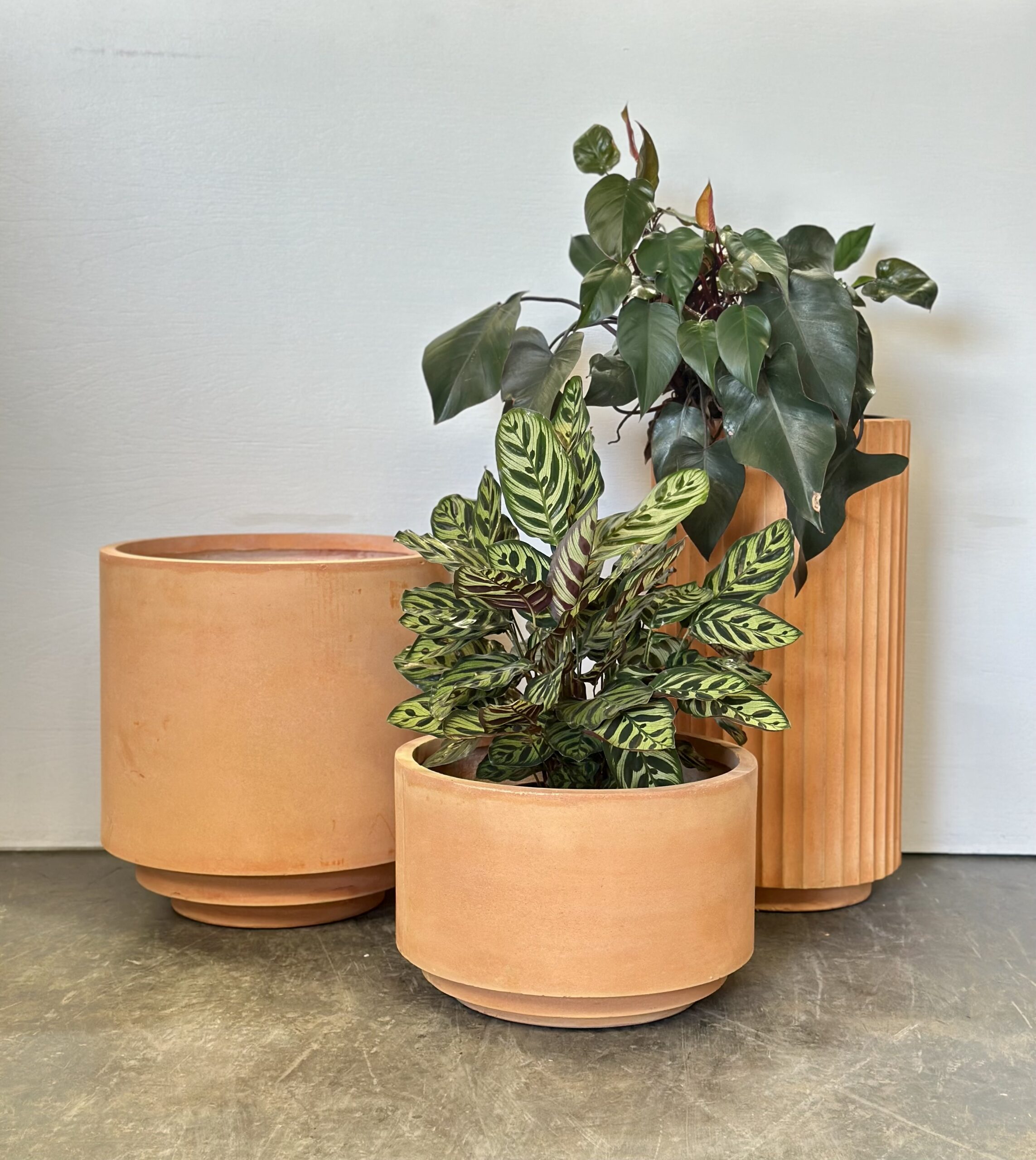 Large Indoor Pots