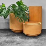 Large Indoor Pots