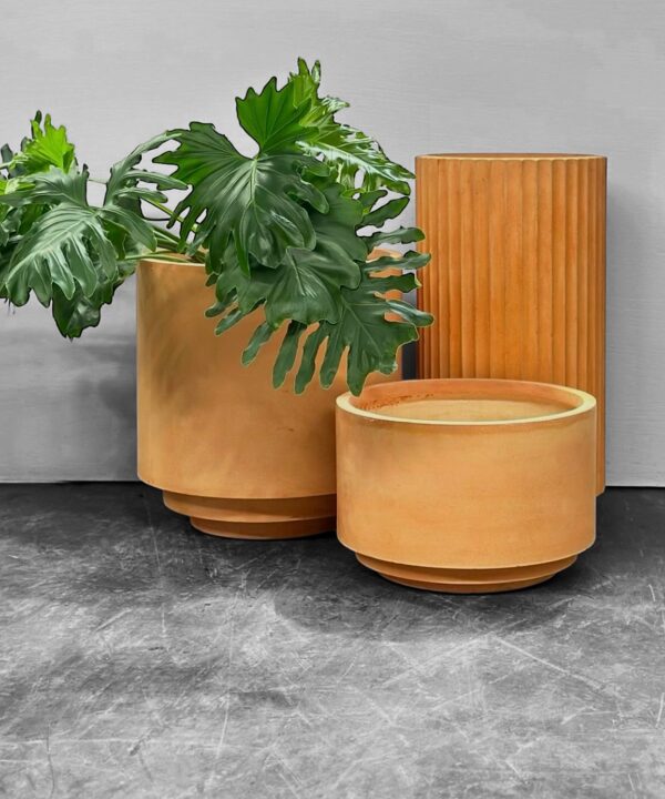 Large Indoor Pots